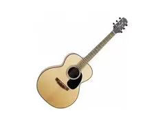 Takamine G-230 main image