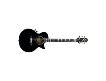Guild Songbird Custom Acoustic-Electric