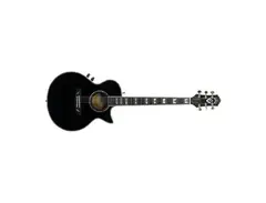 Guild Songbird Custom Acoustic-Electric main image