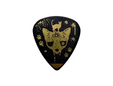 MiA signature guitar pick ESP JP