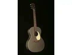 Martin OOL17-BS Series main image