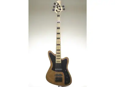 D&D Bass guitar 5s