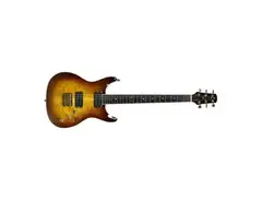 Michael Rowan Guitar main image