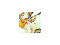 guitar ltd ec 256 modified