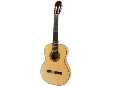 Raimundo Guitars 145 Flamenco