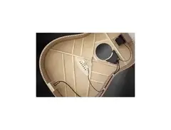 L.R. Baggs Anthem Tru-Mic Acoustic Pickup