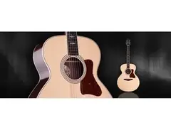 Collings SJ Indian