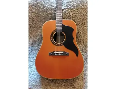 1967 Eko Ranger VI