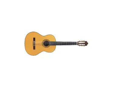 Contemporary Flamenco Guitar