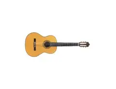 Contemporary Flamenco Guitar