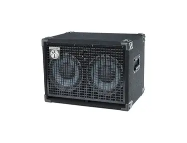 SWR Workingman's 2x10T