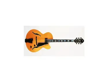 Fender D'Aquisto Elite