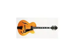 Fender D'Aquisto Elite