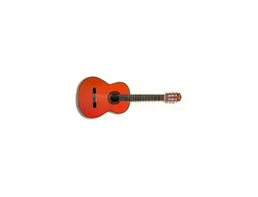 Fender Acoustic Guitar CG-4