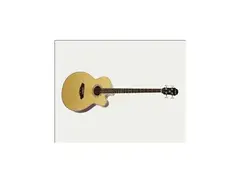 ARIA FEB30M FRETLESS ACOUSTIC ELECTRIC BASS main image