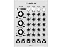 Grayscale Permutation main image
