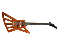 Gibson Holy Explorer main image