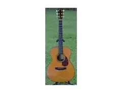 1991 Martin OM-21 Special main image