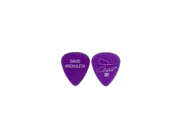 David Archuleta Autographed Guitar Pick