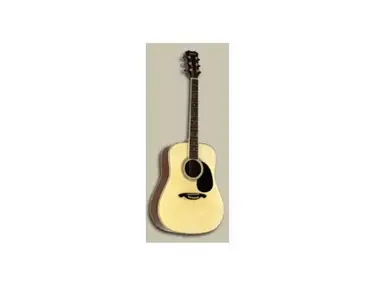 Austin Guitars AU506