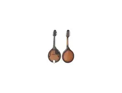 Johnson Instruments MA-120 Mandolin
