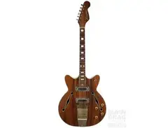 Kingston/Teisco Coronado main image