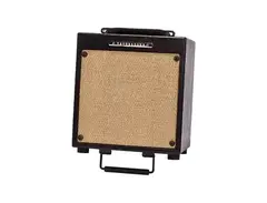 Ibanez Troubadour T20 main image
