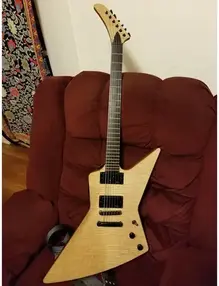 Luthier-Made Reverse Headstock Explorer