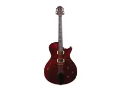 PRS SC-J Thinline Limited Edition
