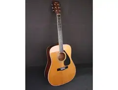 Yamaha FG 200D main image