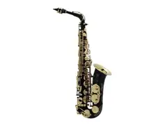 Opus USA Alto Saxophone Black and Gold