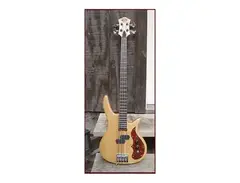 Birdsong C Bass main image