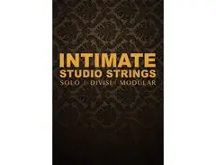 8DIO Intimate Studio Strings main image