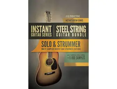 8DIO - Steel Guitar Solo / Strummer