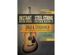 8DIO - Steel Guitar Solo / Strummer main image