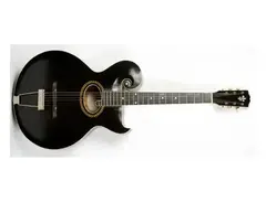 1920 Gibson Model O