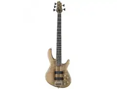 Cort Artisan a5 main image