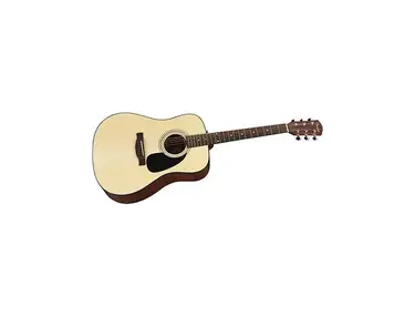 Fender DG-60/NAT