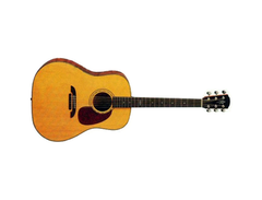 Alvarez Yairi DY-52 Canyon Creek main image