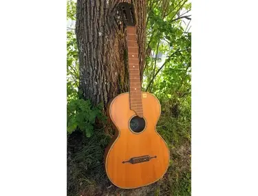 Hallfredh Acoustic Guitar