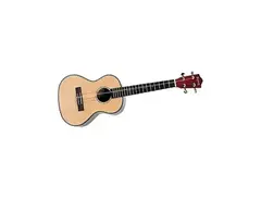 Bushman Engelmann Tenor Ukulele main image