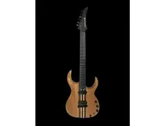 Esoterik Guitars DR1