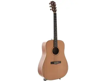 fender acoustic dg 25s