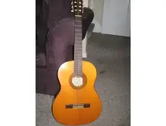 Suzuki Acoustic Guitar main image