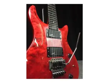 Washburn RS 10V
