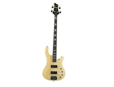 Schecter 004