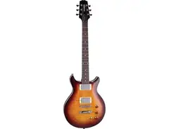 Hamer Sunburst Flametop main image