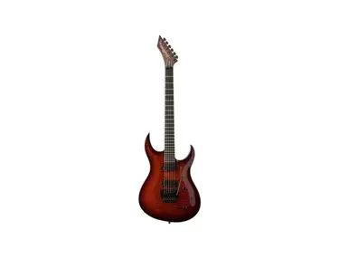 Washburn WM24 Renegade