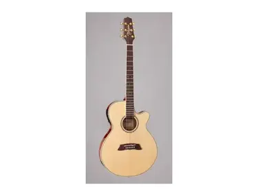 Takamine TSP138C N