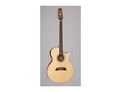 Takamine TSP138C N main image